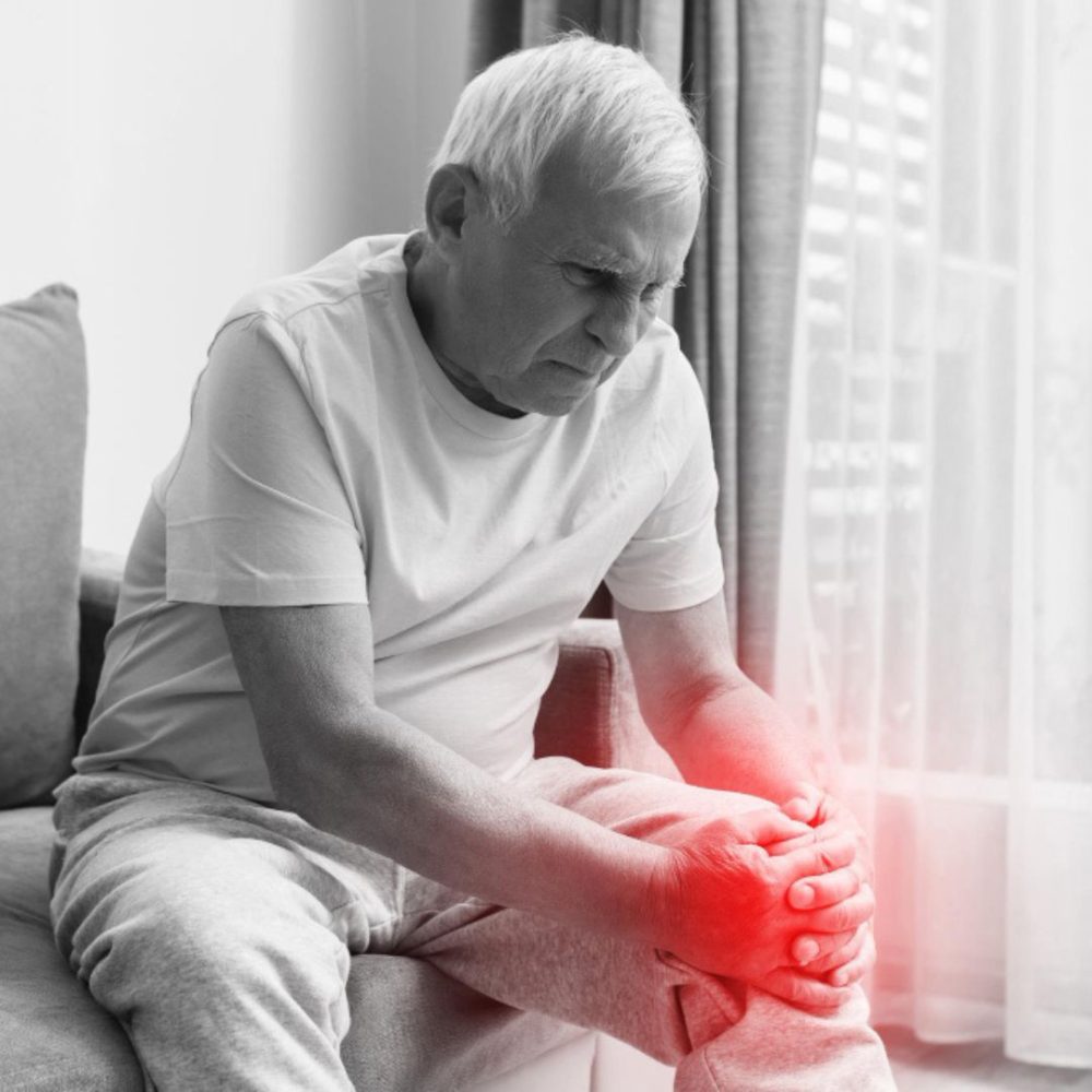 Untitled design (50)